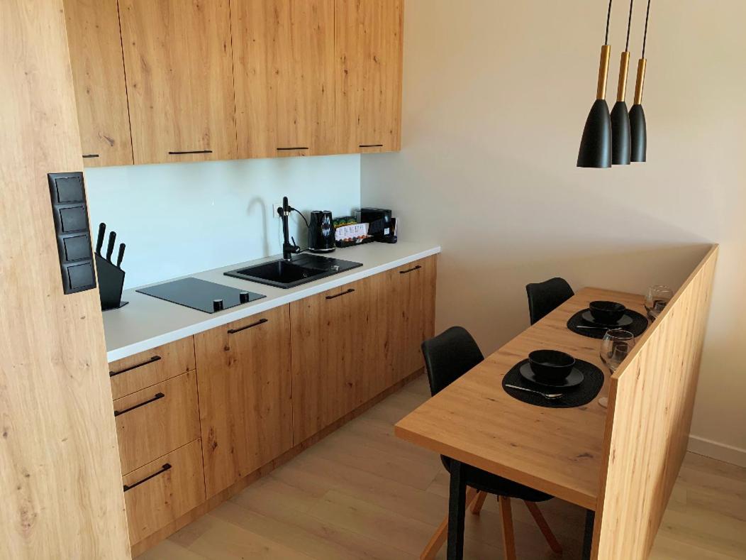 亚斯塔尔尼亚Dom Zdrojowy Apartament Debowy公寓 外观 照片